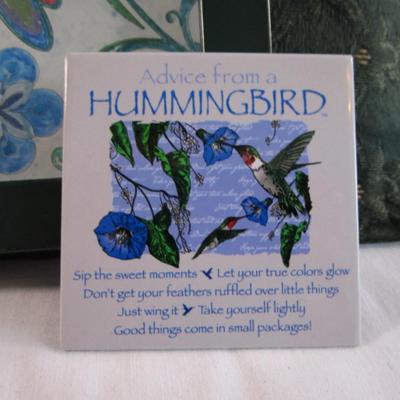 Hummingbird picture and magnet