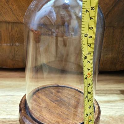 Glass Dome Display