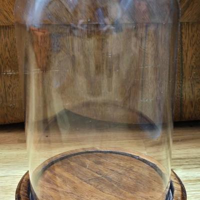 Glass Dome Display