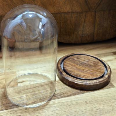 Glass Dome Display