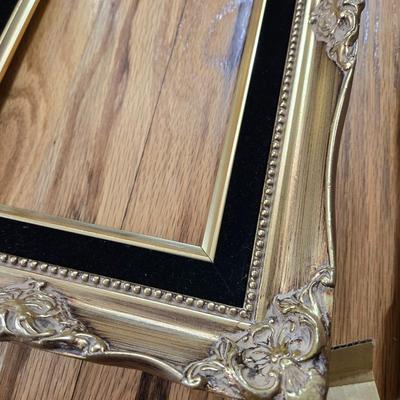 (2) New Gold Gilt Frames with Black Velvet