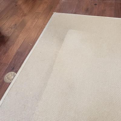 Tan Woven 9' x 12' Area Rug (LR-KD)