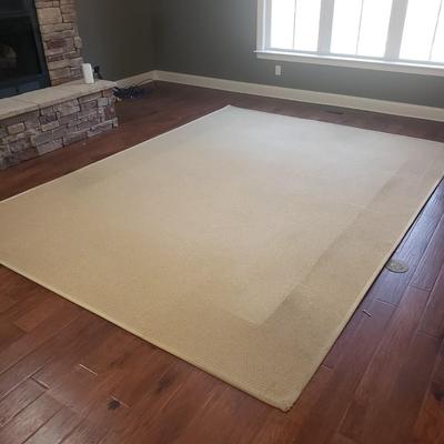 Tan Woven 9' x 12' Area Rug (LR-KD)