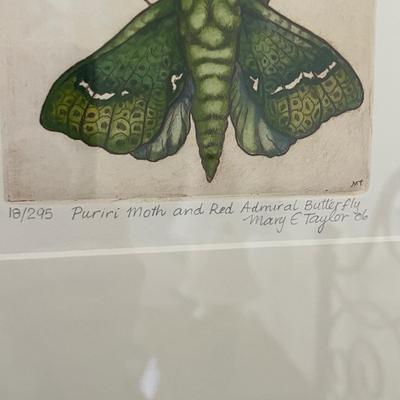 Mary Taylor Hand Colored Etchings (GB1-MG)