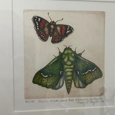Mary Taylor Hand Colored Etchings (GB1-MG)