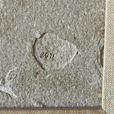 Two Fossil Fish in Wooden Frame (O-MG)