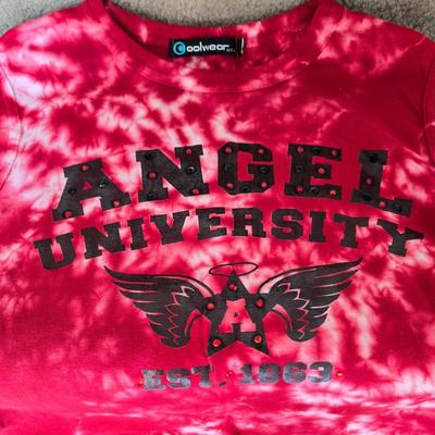 LOT 6B: Y2K Crop Tops, Tanks & Little T-Shirts: Spider-man, Drama Queen, Angel & More