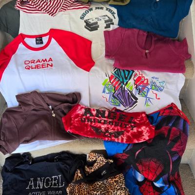 LOT 6B: Y2K Crop Tops, Tanks & Little T-Shirts: Spider-man, Drama Queen, Angel & More