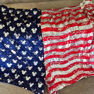 LOT 9B: Fun Boxer Shorts, Some New with Tags & Ladies' Shorts New with Tags