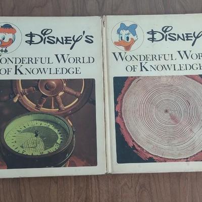 LOT 34B: (2) Disney's Wonderful World of Knowledge Books and Assorted Disney Children Books