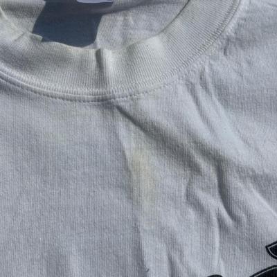 LOT 57B: 2003 Y2K Shania Twain UP! Tour T Shirts