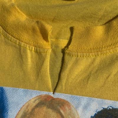 LOT 60A: Y2K American Idol T Shirt Collection & More!