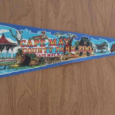 LOT 94A: 90s/2000s Wall Pennants: Rugrats, Philadelphia Phantoms, Cape May & More