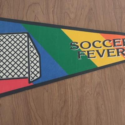 LOT 94A: 90s/2000s Wall Pennants: Rugrats, Philadelphia Phantoms, Cape May & More