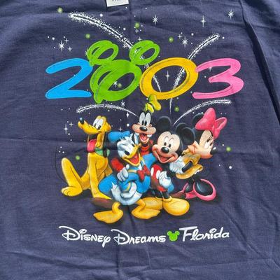 LOT 126L: Vintage Disney T Shirt Collection & More!