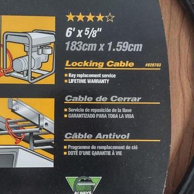 LOT 170B: 2 Bike Locks and Bike Pump