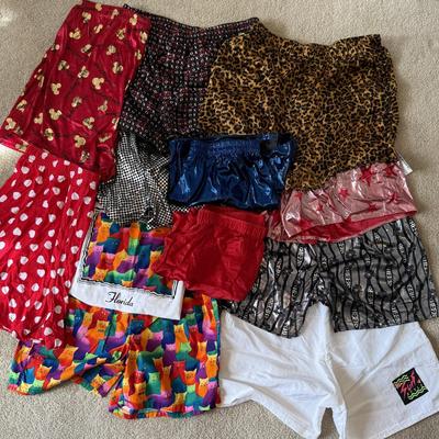 LOT 205A: Fun Shorts: Walt Disney World, Leopard Print, Spyn Hot Pants, Cat Pattern w/ Matching T-Shirt, Surf Style & More