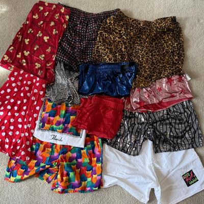 LOT 205A: Fun Shorts: Walt Disney World, Leopard Print, Spyn Hot Pants, Cat Pattern w/ Matching T-Shirt, Surf Style & More