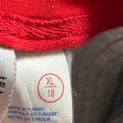 LOT 224L: MLB Philadelphia Phillies Fandom Collection: NWT Windbreaker (XL), #25 Jim Thome True Fan Jersey (L), T-Shirts, Hat & Car...