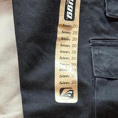 LOT 231L: NWT Cargo Pants: Plugg Size 20