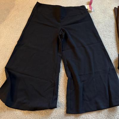 LOT 233L: Juniors / Petite Skirts, Pants & Shorts: Express, Christie brooks, XOXO, Rave, Mudd & More