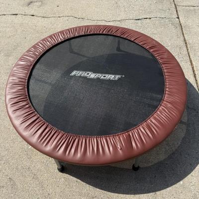 LOT 253G: Small Pro Sport Kids' Trampoline