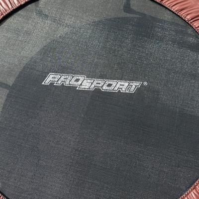 LOT 253G: Small Pro Sport Kids' Trampoline