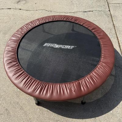 LOT 253G: Small Pro Sport Kids' Trampoline
