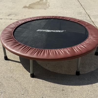 LOT 253G: Small Pro Sport Kids' Trampoline