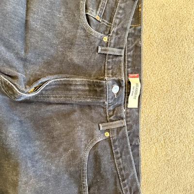 LOT 262L: Pants & Shorts: Quiksilver, Silvertab, Wear First, American Eagle, Levi's, Plugg & More