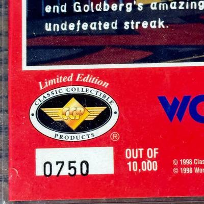 LOT 284J: Wrestling Memorabilia: Kevin Nash WCW Commemorative Ticket (750/10,000) w/ Sable & Kane Plaques