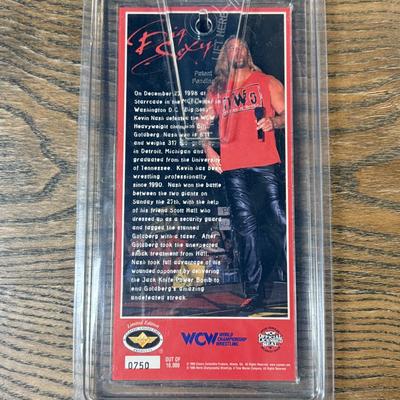 LOT 284J: Wrestling Memorabilia: Kevin Nash WCW Commemorative Ticket (750/10,000) w/ Sable & Kane Plaques