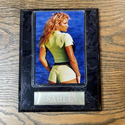 LOT 284J: Wrestling Memorabilia: Kevin Nash WCW Commemorative Ticket (750/10,000) w/ Sable & Kane Plaques