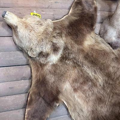 Awesome HUGE Canadian Grizzly Bear Rug