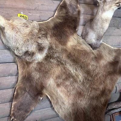 Awesome HUGE Canadian Grizzly Bear Rug