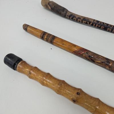 Hand Carved Scenic Story Telling Walking Canes