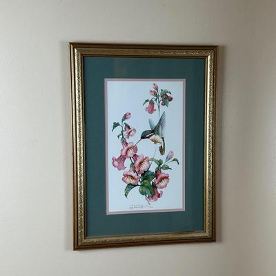 Framed Print of Hummingbird by Carolyn Shores Wright Signed & Numbered