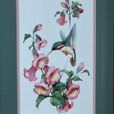 Framed Print of Hummingbird by Carolyn Shores Wright Signed & Numbered