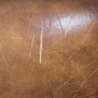 Brown Leather Armchair (LR-DZ)