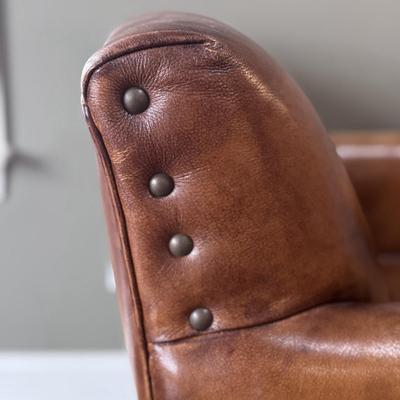 Brown Leather Armchair (LR-DZ)