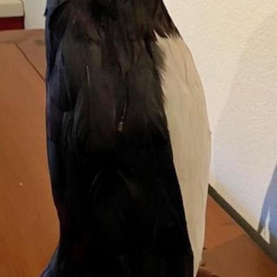 Decorative Artificial Feathered Penguin Figure