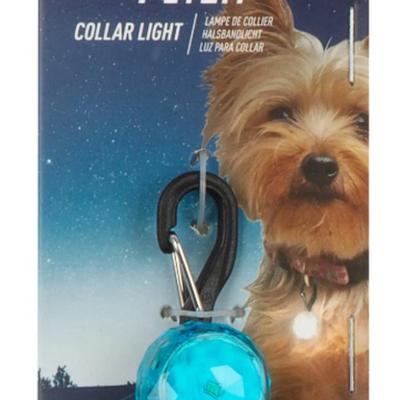 Nitize PetLit Collar Light Turquoise Jewel