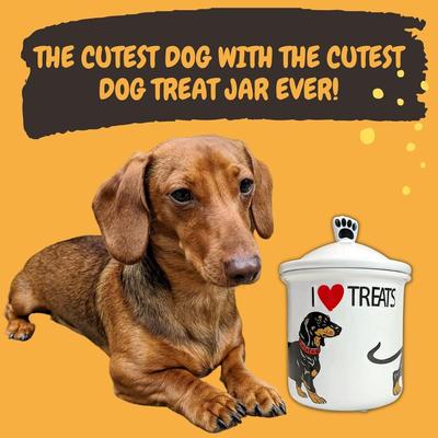 Brand New Ceramic Dog Treat Jar for Dachshund or Weiner Dogs - Cute Dachshund Decor