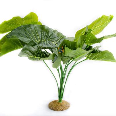 Aquaglobe 19" Coio Casia Silk Plant - Fresh Water, Salt Water & Reptile Use