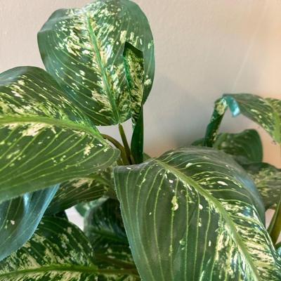 Large Artificial House Plant