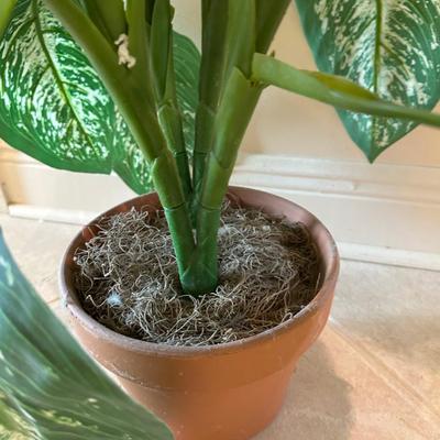 Large Artificial House Plant