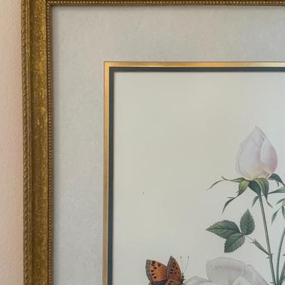 Framed Botanical Prints