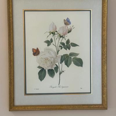 Framed Botanical Prints