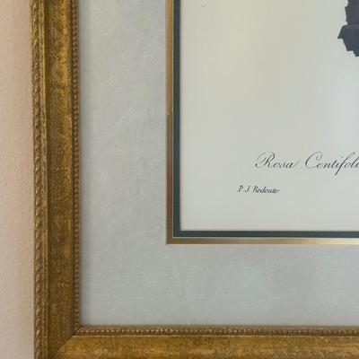Framed Botanical Prints
