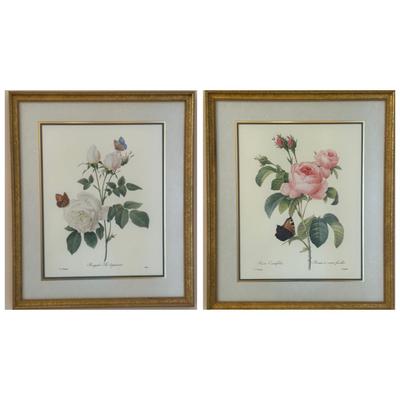Framed Botanical Prints